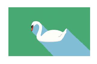 swan